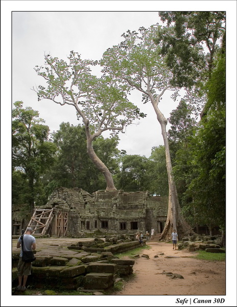 2006 - 07 - Temple angkor - Ta Prohm 04